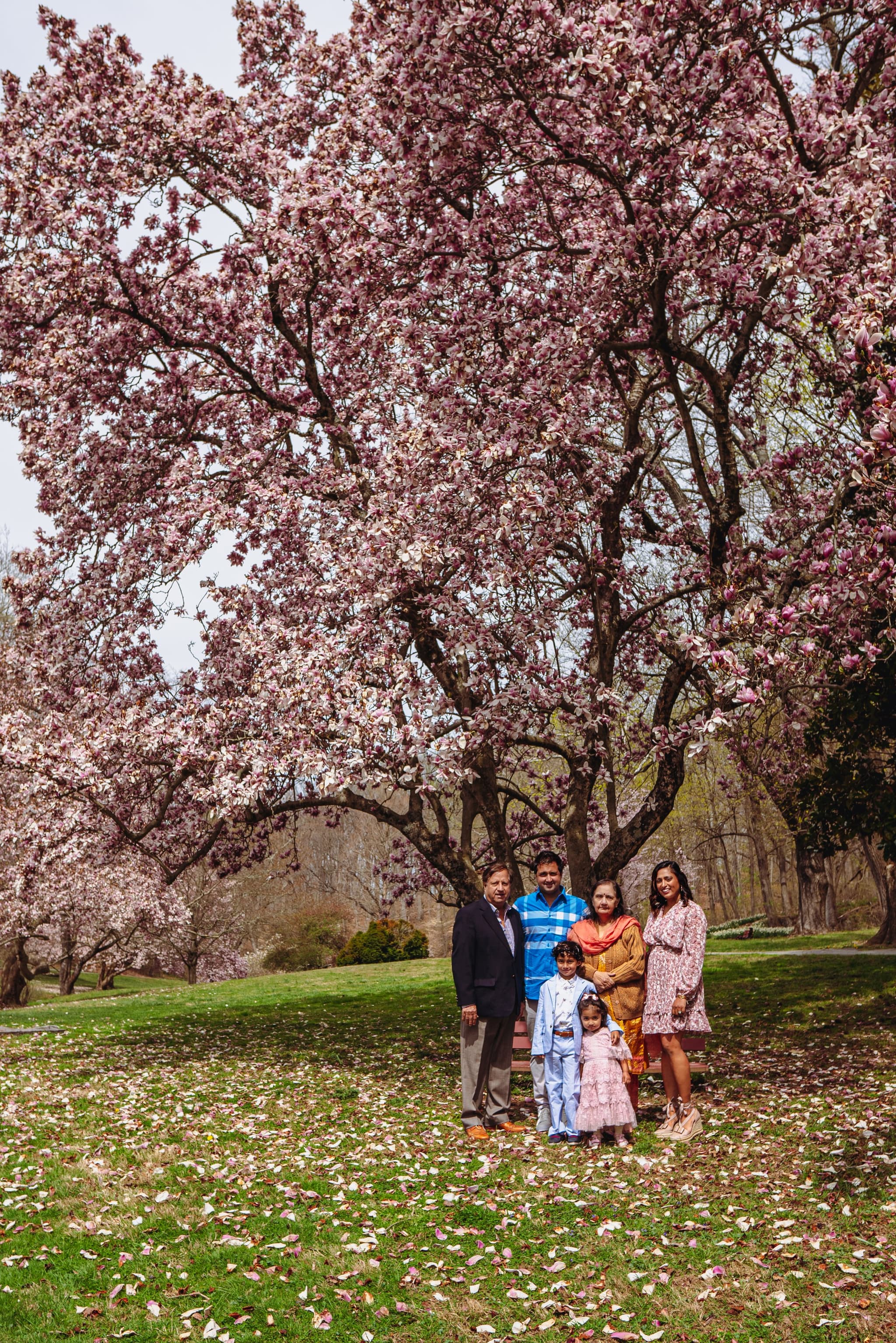 An extended family of six gathers for a portrait beneath a sweeping magnolia tree in full spring bloom