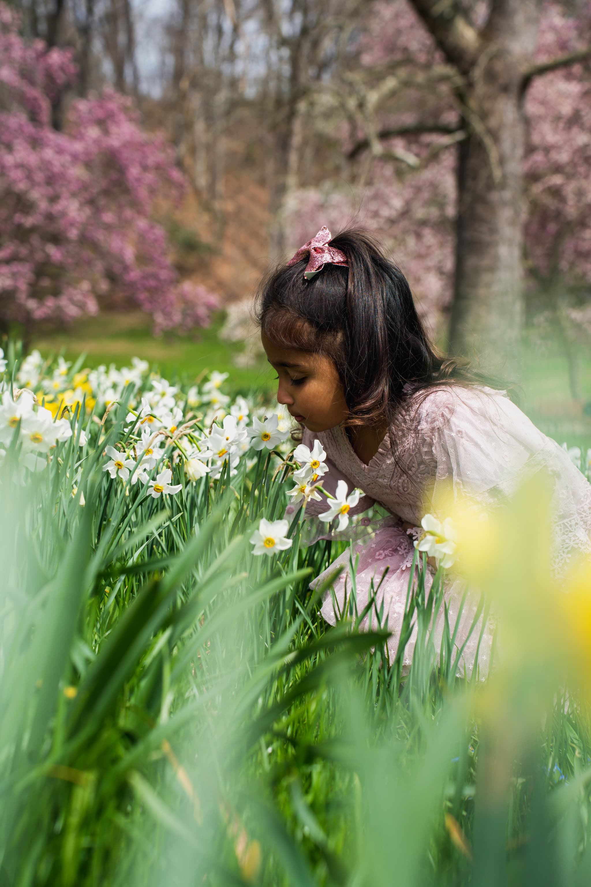Little girl in pink dress bending to smell white daffodils with cherry blossoms behind her