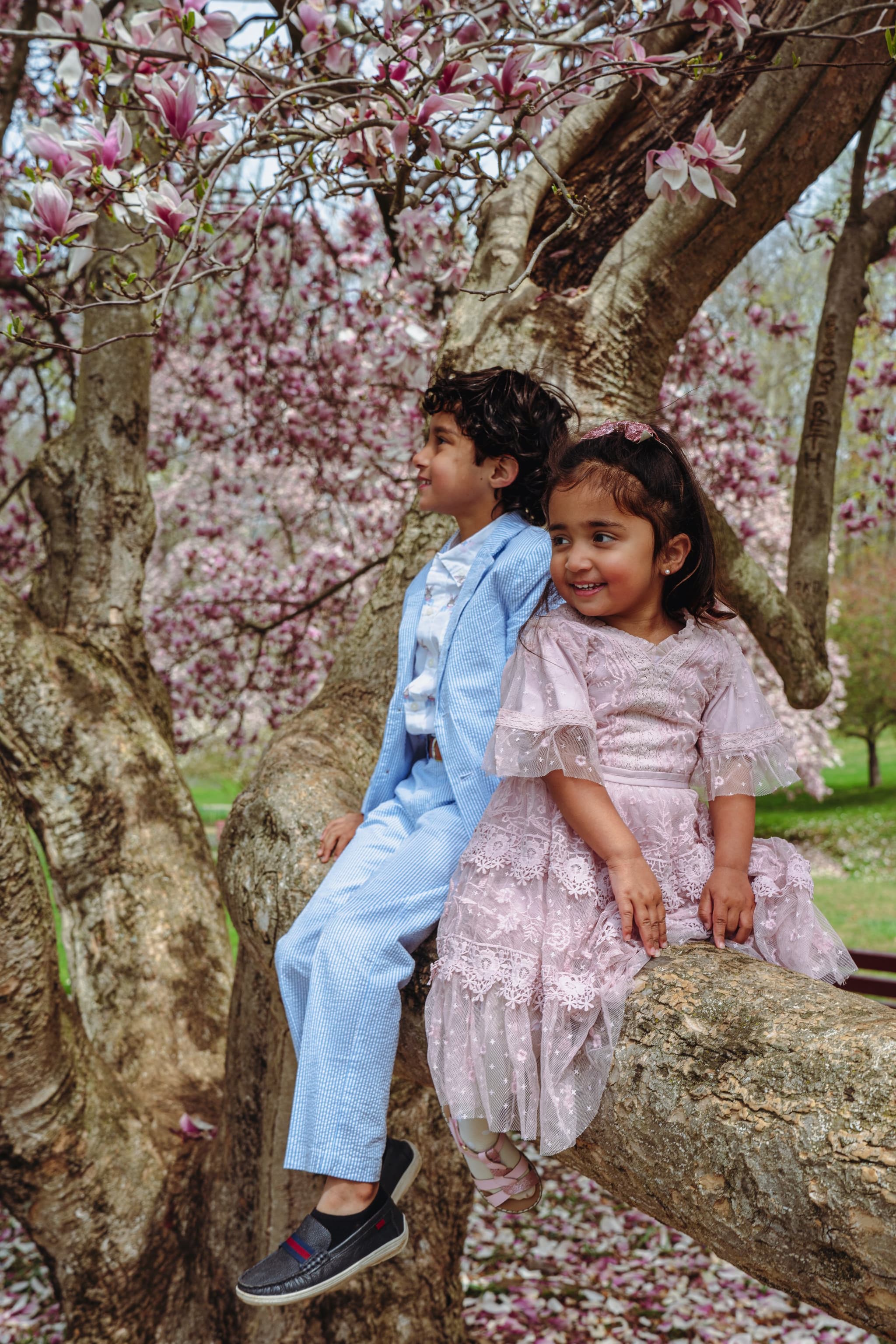 Two children sitting on a magnolia tree branch surrounded by pink blossoms