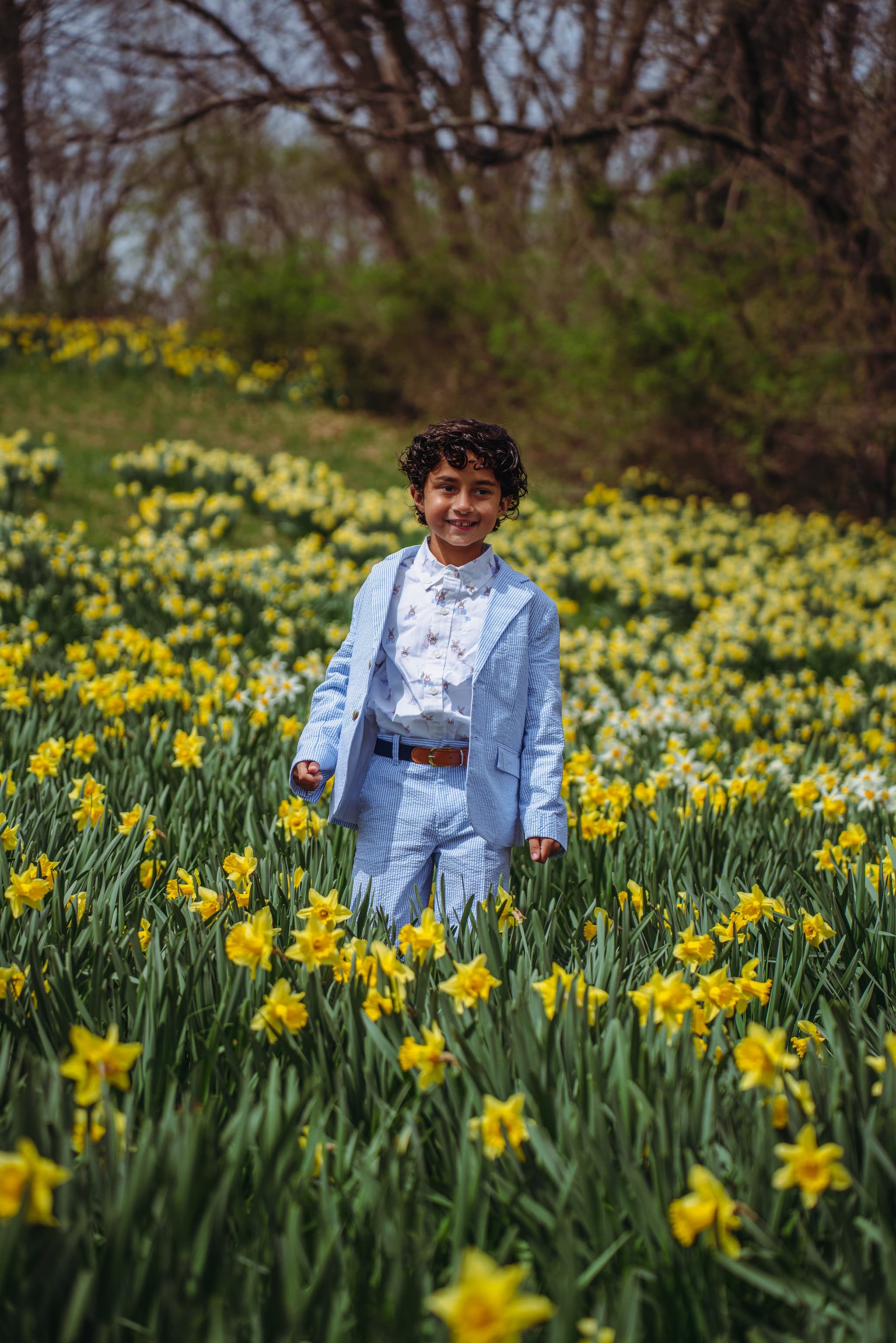 Boy in blue suit standing in a field of yellow daffodils