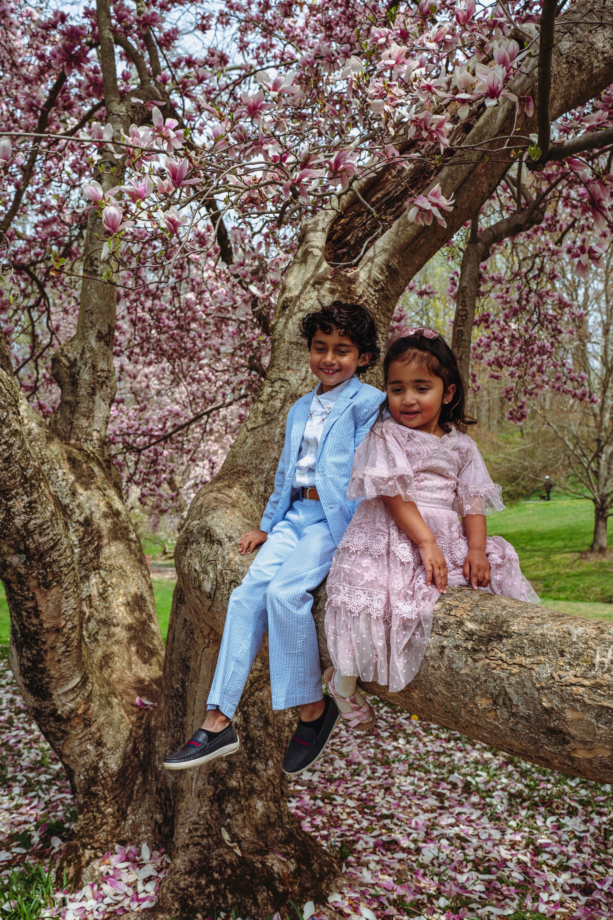 Brother and sister sitting together on a magnolia tree branch in spring