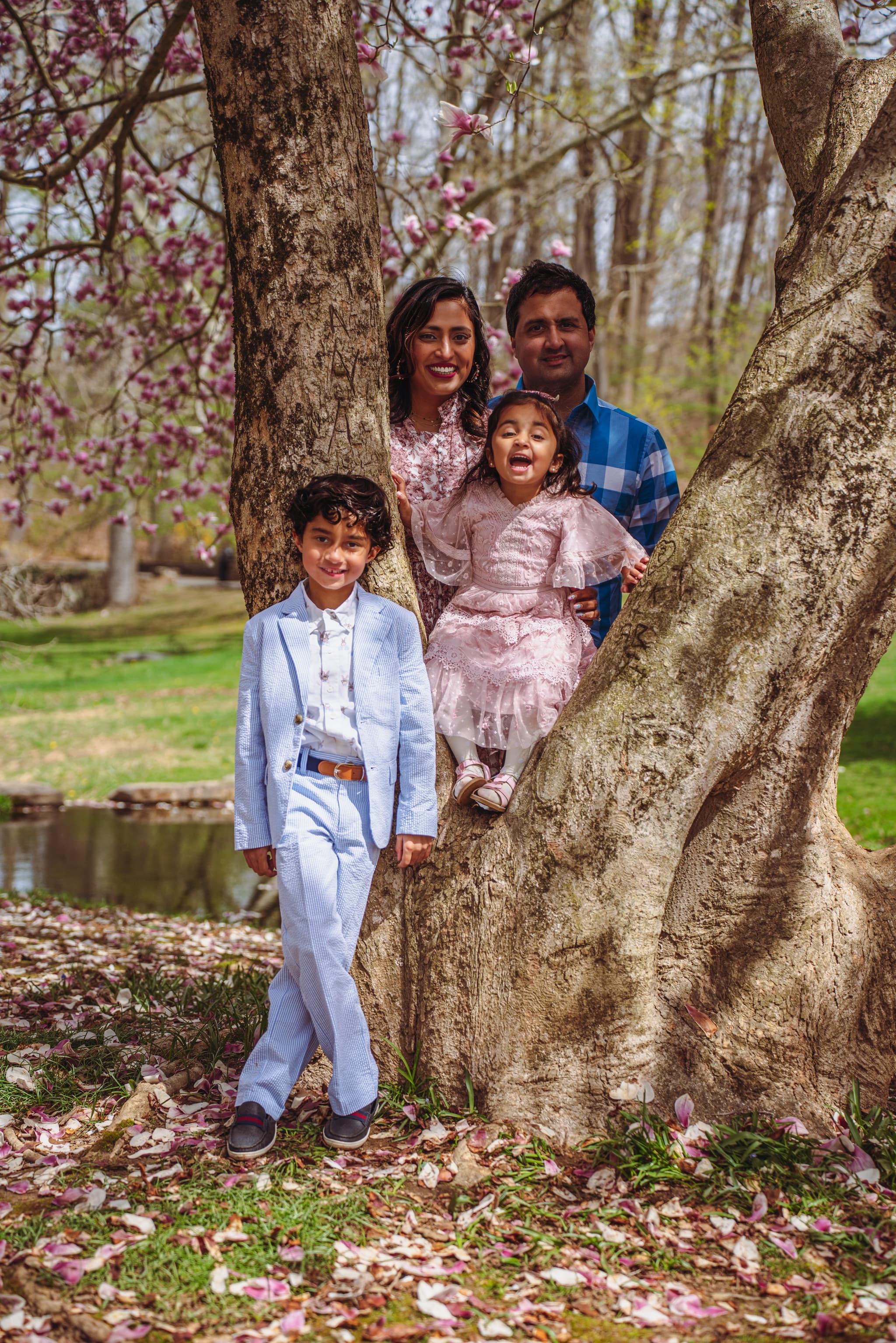 Family of four posing together around a tree with the parents laughing and daughter perched on the trunk