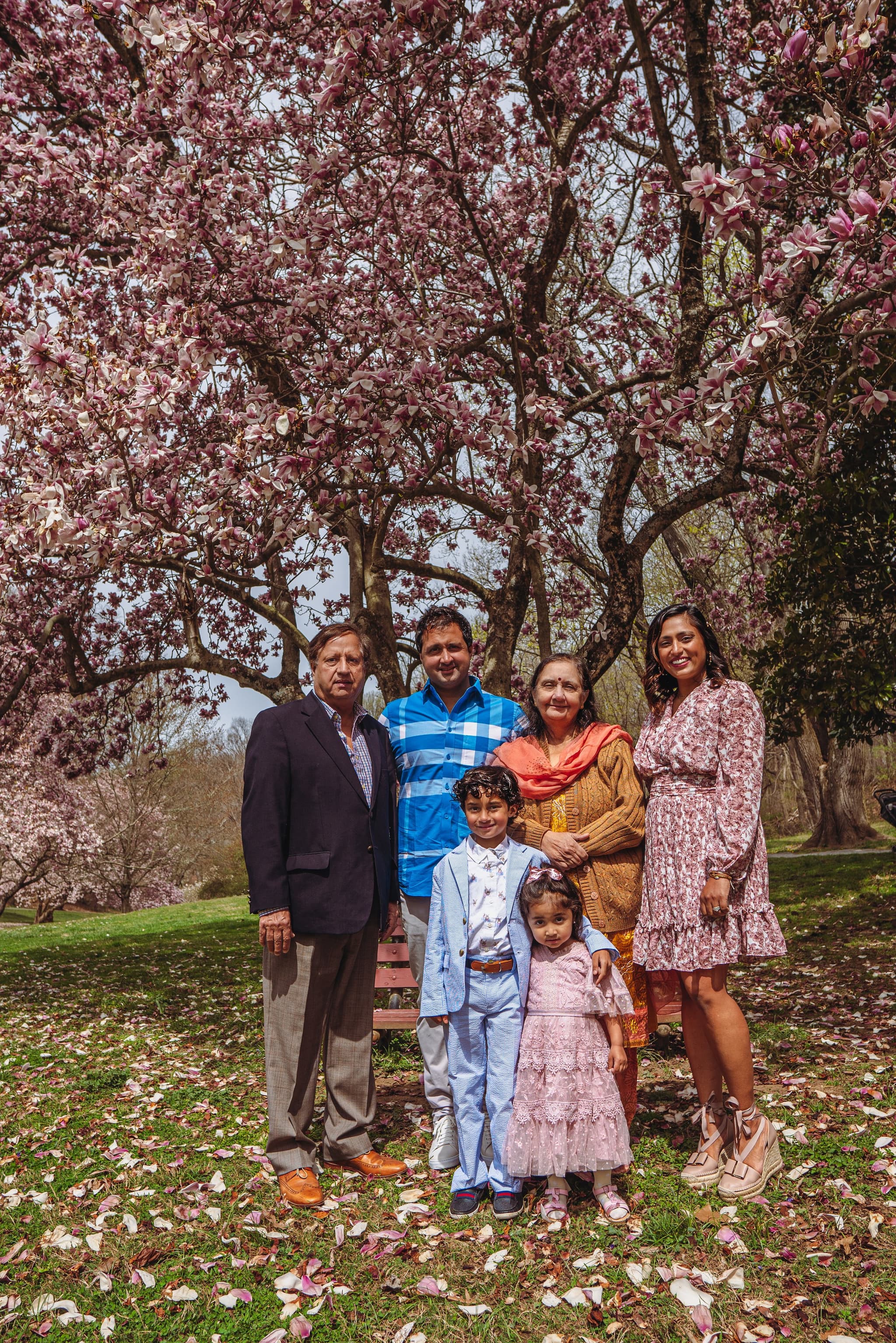 Extended family group portrait standing together beneath a canopy of pink magnolia blossoms