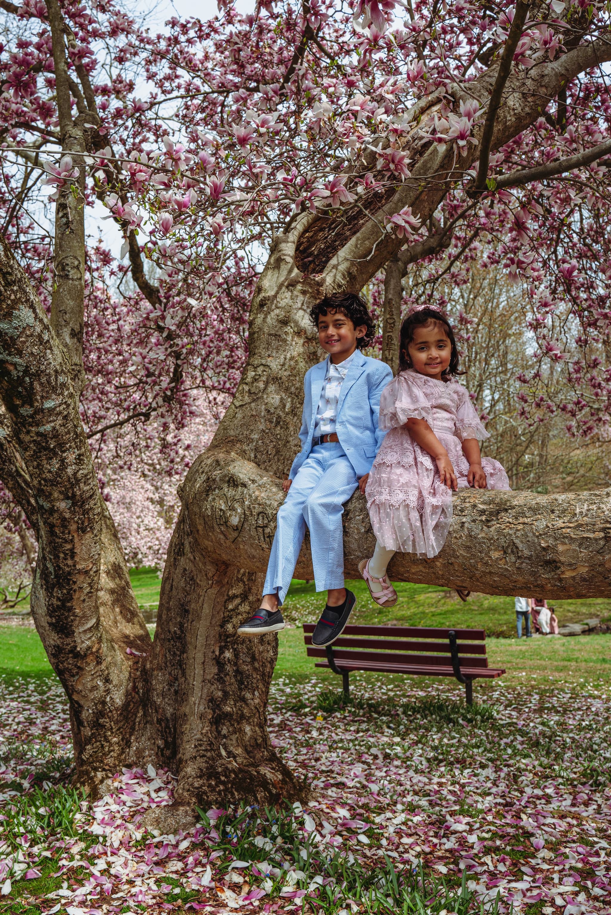 A brother and sister sit side by side on a low magnolia branch, smiling together beneath a canopy of pink blossoms