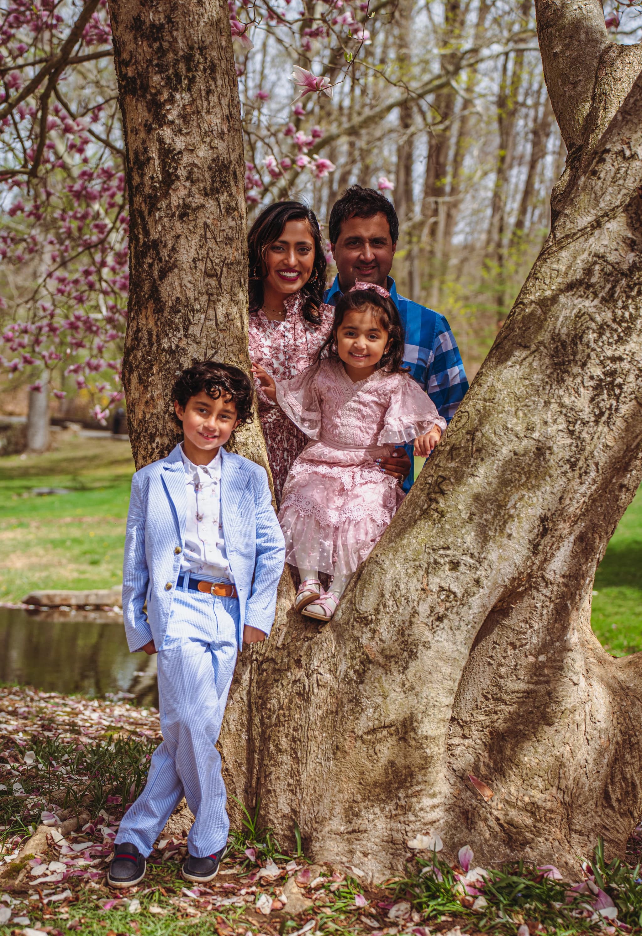 A family of four poses warmly together at the base of a large magnolia tree, surrounded by fallen pink petals